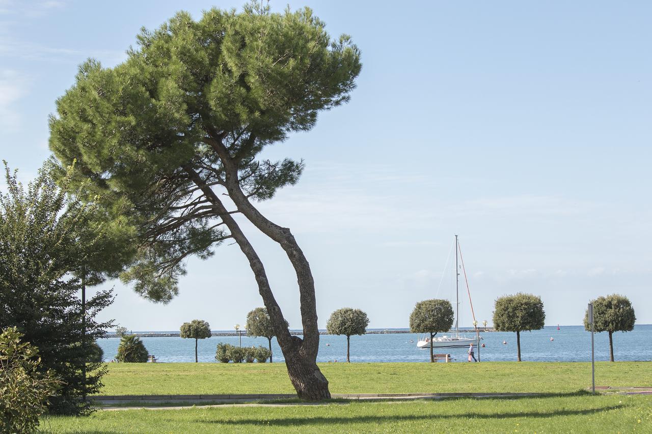 Apartment Old Town Umag Exterior foto